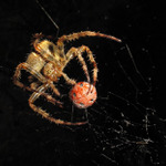 Kdo si hraje, nezlobí...