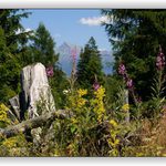Pohled na Vysoké Tatry