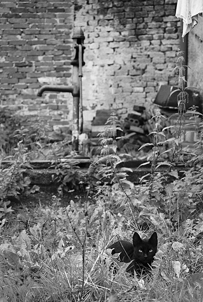 muj hadr, moje pumpa..