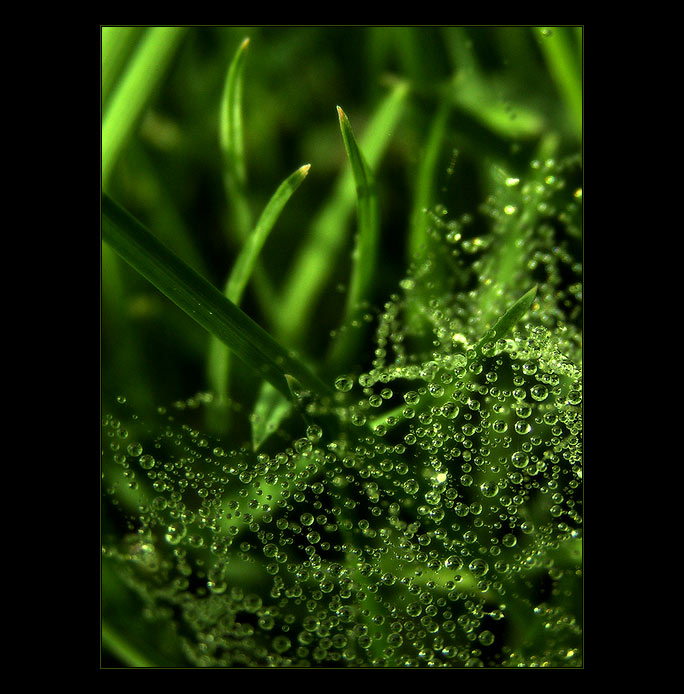  - water diamonds -
