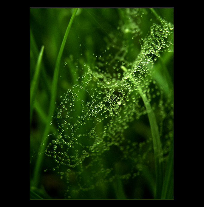  - water diamonds II. -