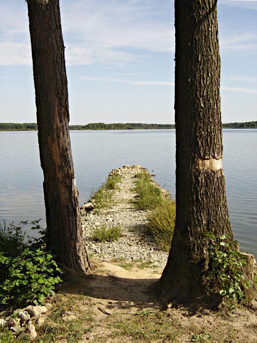 Brána