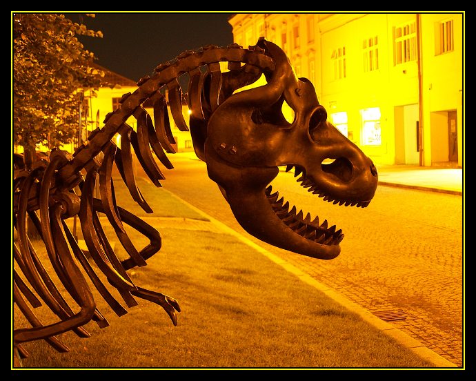 Noční dravec