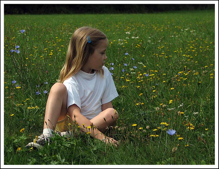 Summer day