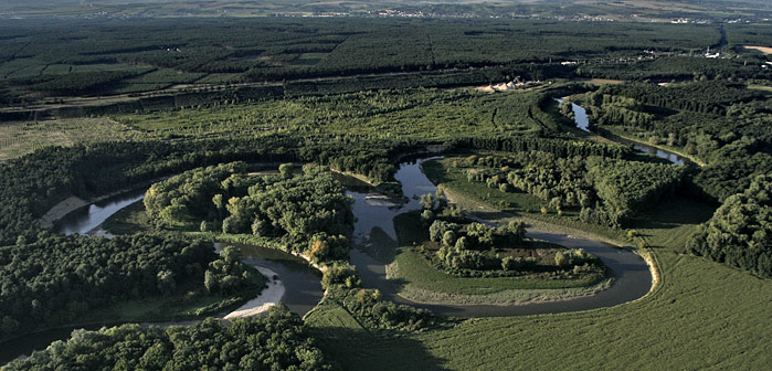 Meandrující Morava