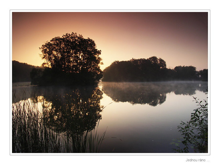 Jednou ráno ...