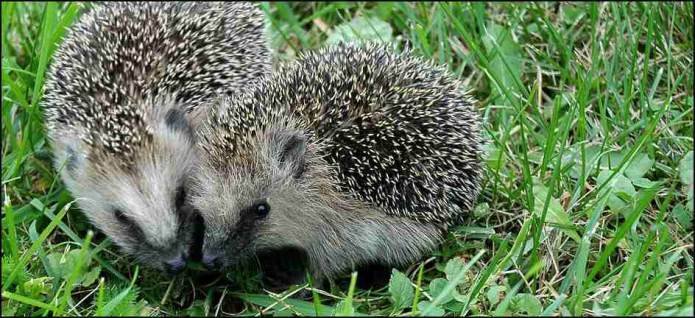 Bráško, už jsi slyšel tu novinku?