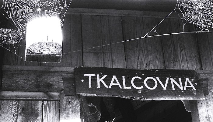 kam se chodí pavoučci učit...