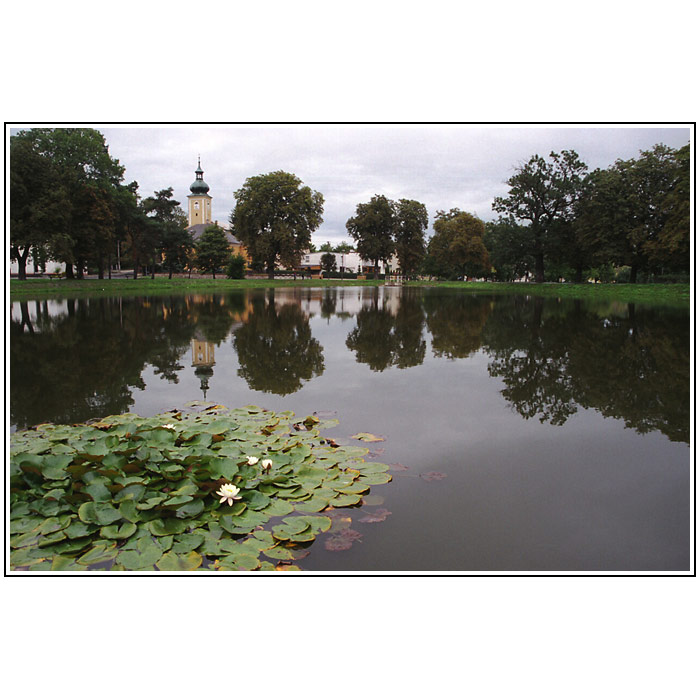 Oldřišov