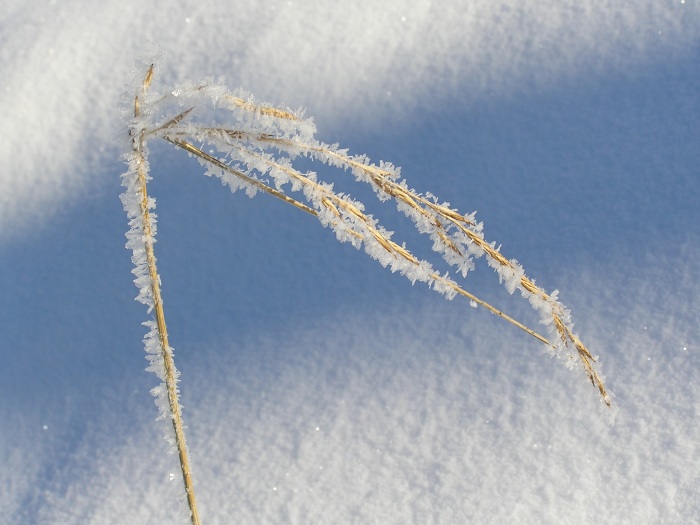 Brr to je zima