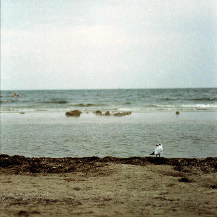 rackovina3.