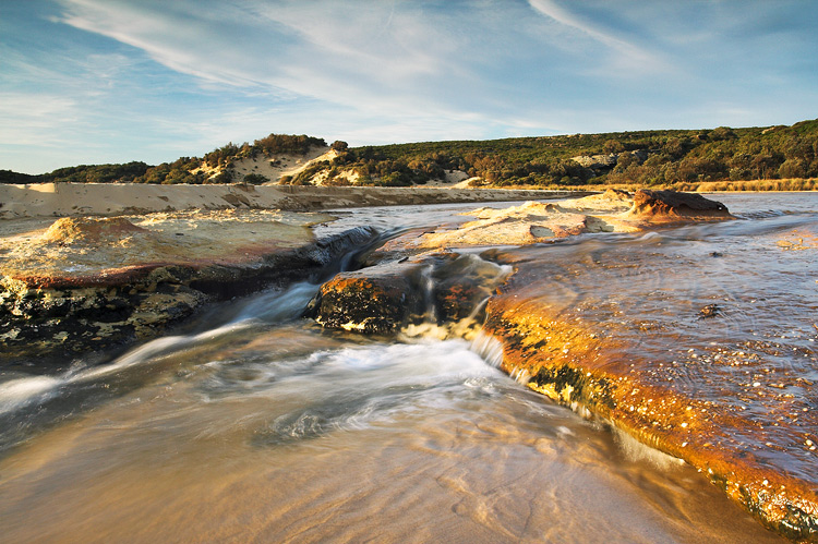 ~ Marley Creek ~