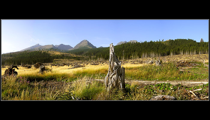 Tatry