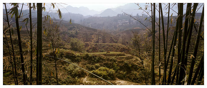 :::   Vietnam –  panorama II  :::