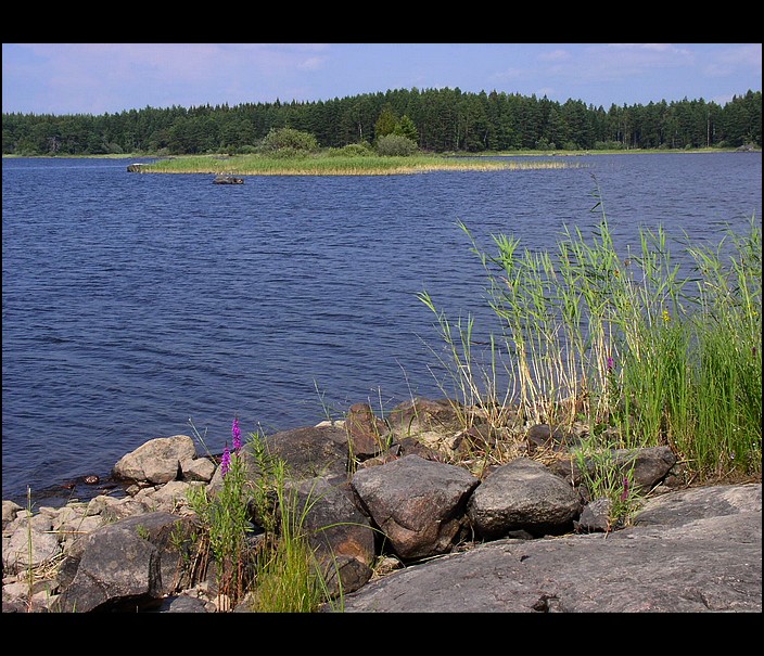 Švédsko - NP Färnebofjärden (1)
