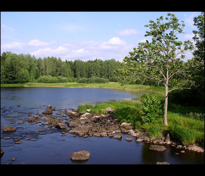 Švédsko - NP Färnebofjärden (2)