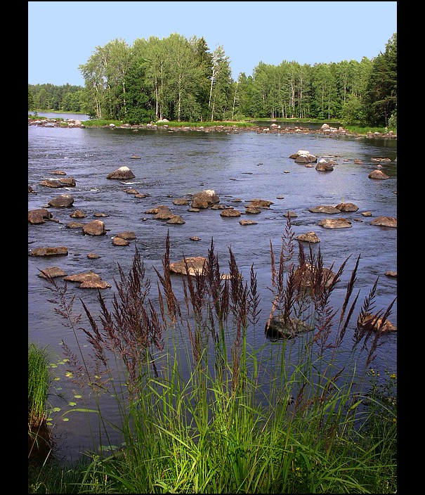 Švédsko - NP Färnebofjärden (3)
