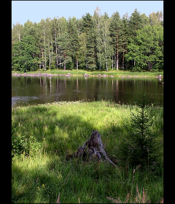 Švédsko - NP Färnebofjärden (4)
