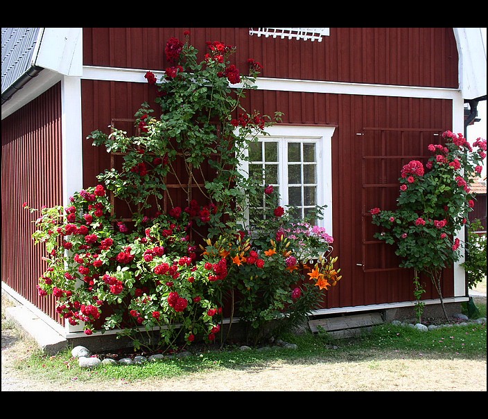 Švédsko - ostrov Sandhamn (2)