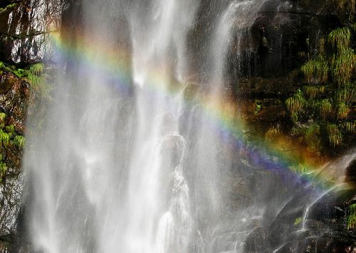 Rainbow