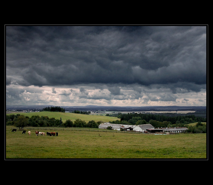 V dračím království