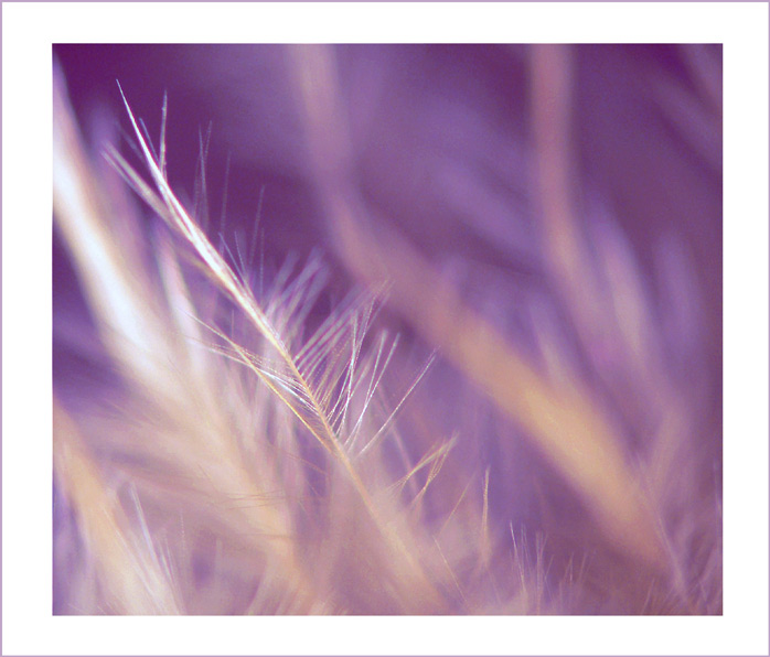 Dreaming II.