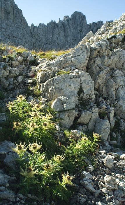 Z Julskych Alp 6