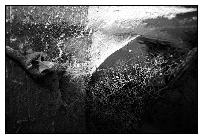 sailing the memories