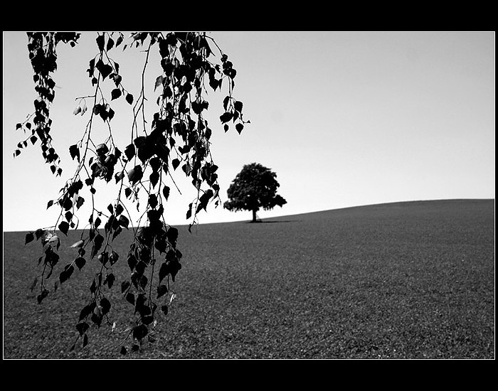 ...monochromní pohledy II...