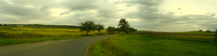 Street
