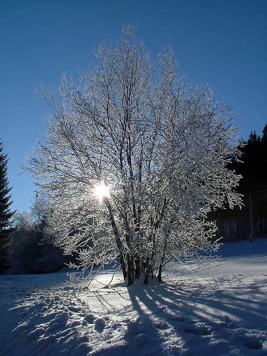 A bude zima...