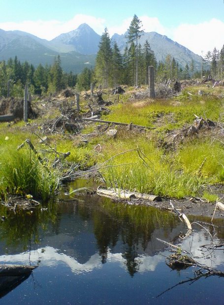 Vysoke Tatry