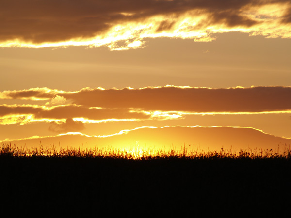 africká savana u nás?