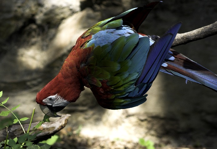 Kurňa já mám, ale hlad :)