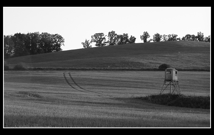 Někde v polích posed stojí