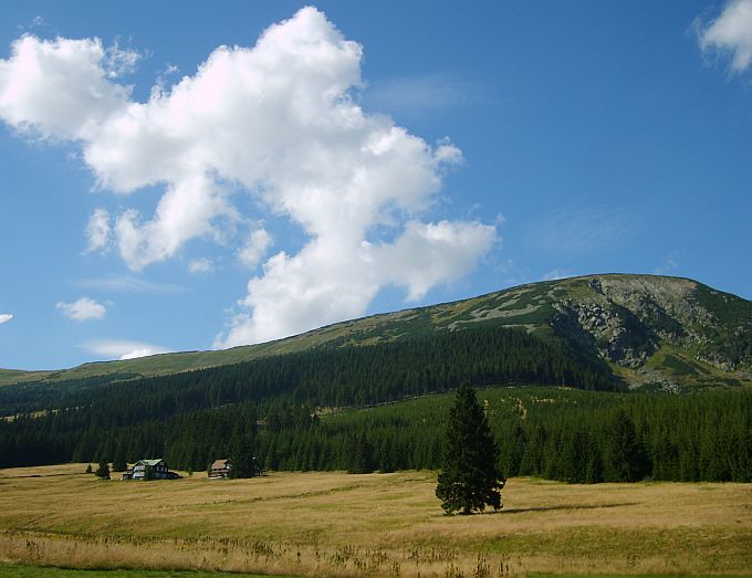 Studniční
