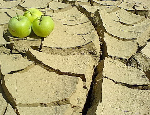 Traja bratia a matička ZEM.