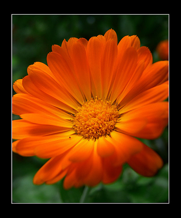 oranžová je nej ... :o) I.