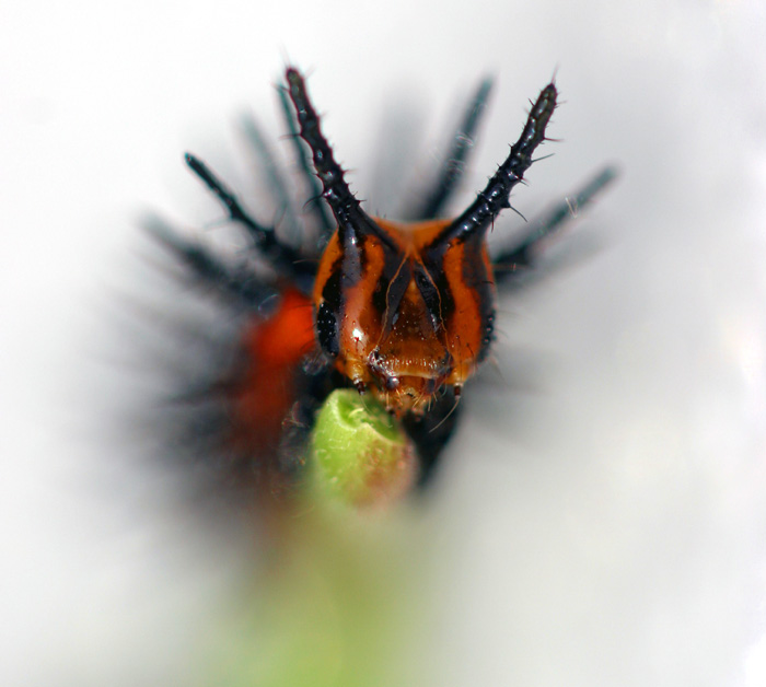 .... na konci své cesty ....