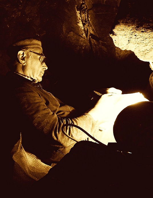 Profesor paleontologie pri praci