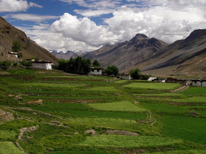Údolí Spiti II