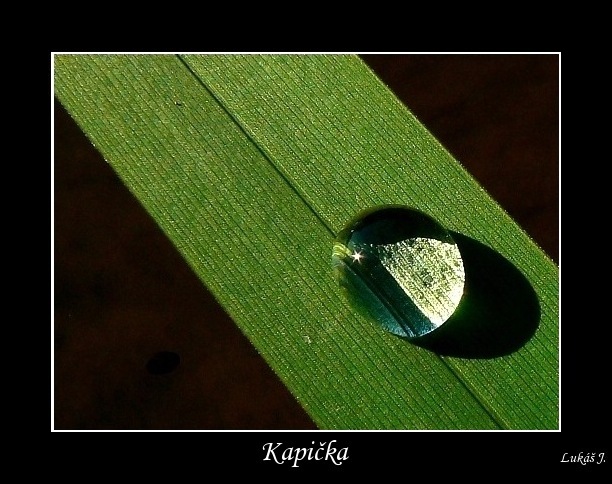 Kapička