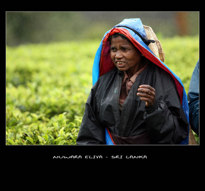 cestování SRI LANKA