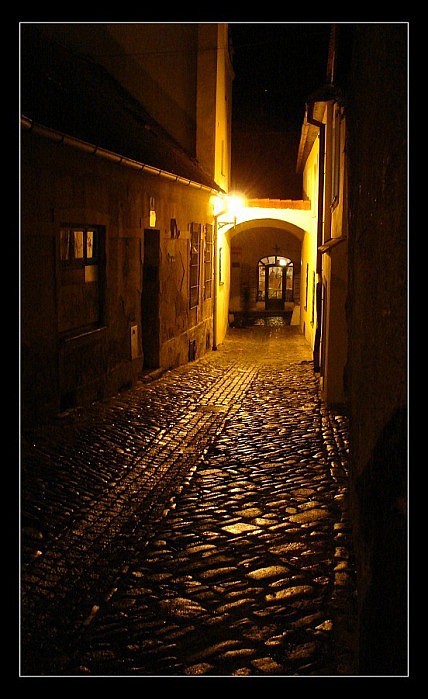 Pozlacená