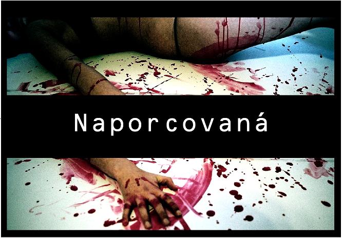 Naporcovaná