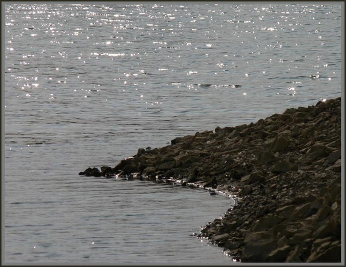 Ve hře:voda a slunce....hvězdičky