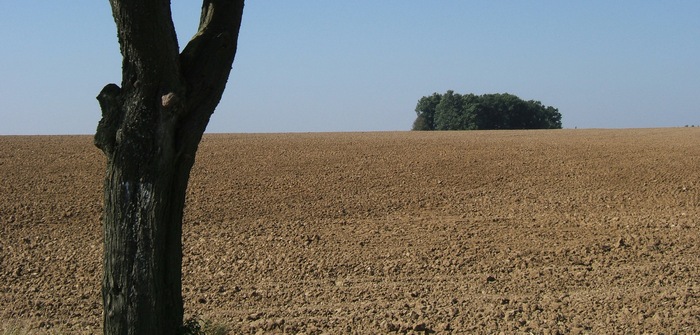Podzim