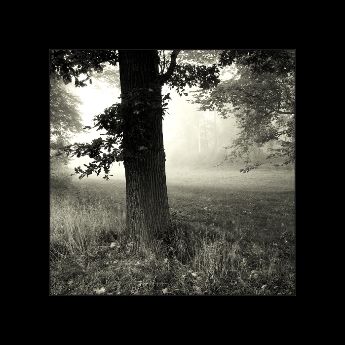 Návraty do veltruského parku XX