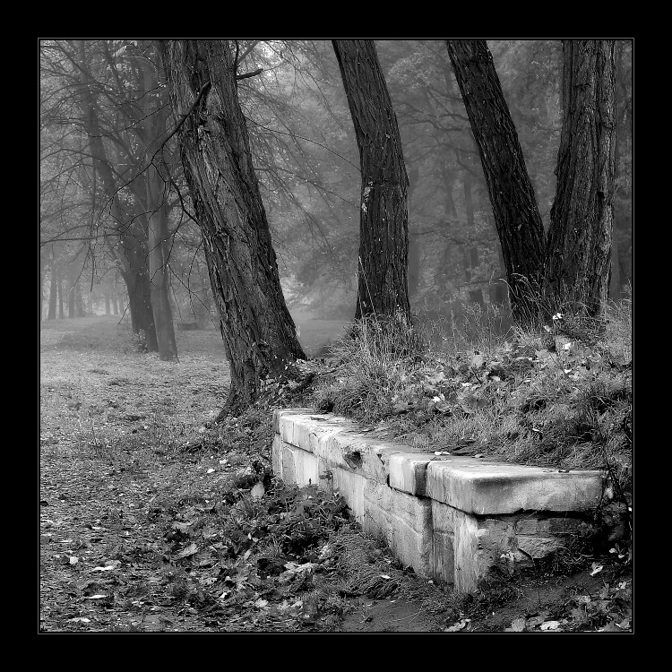 Návraty do veltruského parku XXI