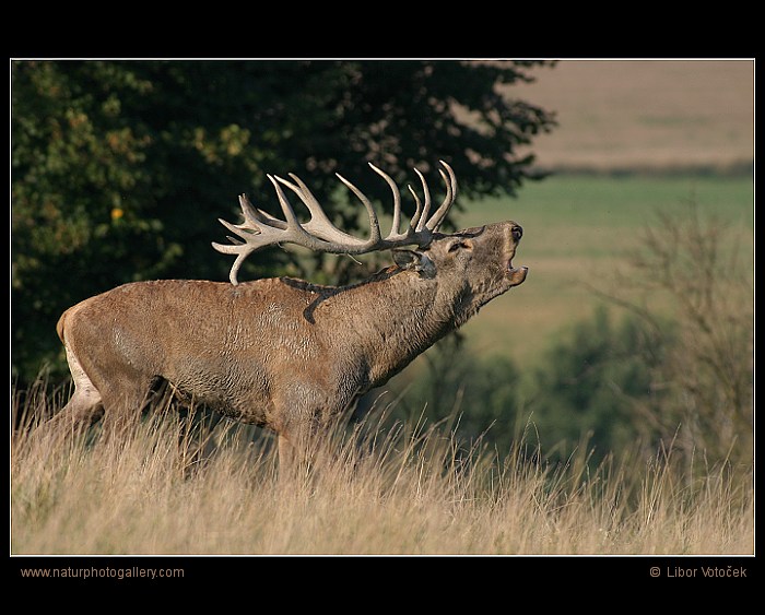 Pojďte si hrát ! :-)